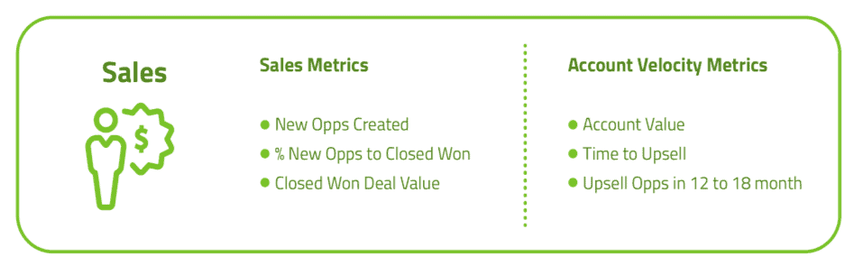 Sales Metrics and Account Velocity Metrics