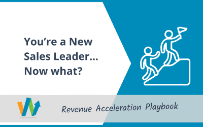 You’re a New Sales Leader… Now What?