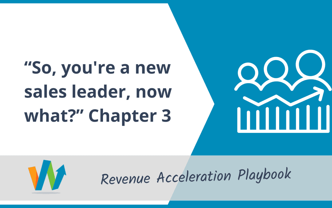 “So You’re a New Sales Leader, Now What?” Chapter 3